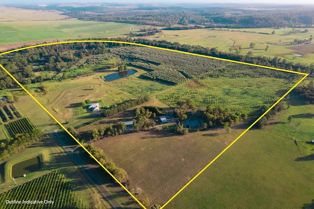 Broke  "Woodlands" Hunter Valley Retreat with Olive Grove