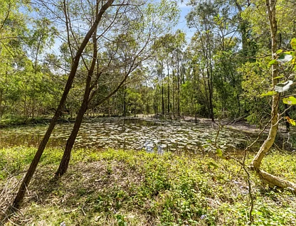 396 Grieve Road, Rochedale, QLD 4123, 3房, 1浴, Lifestyle Section