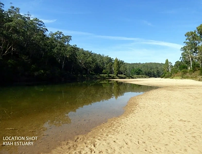 Lot 452 The Snake Track Via Kiah, Eden, South Coast, 0 Schlafzimmer, 0 Badezimmer, Lifestyle Property