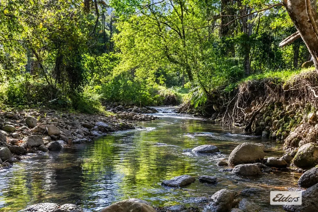 Tyalgum Creek 4房  Freshwater Swimming, Privacy & Caldera Views