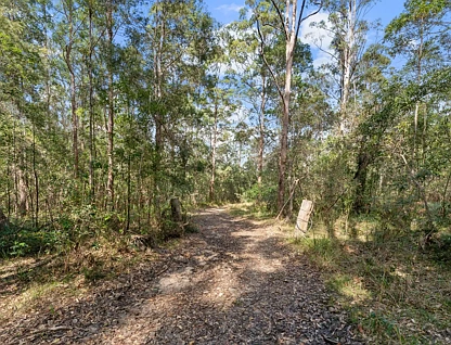 49 George Street, Glenreagh, NSW 2450, 0 कमरे, 0 बाथरूम, Section