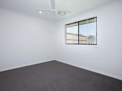 20 Threadtail Street, Chisholm, NSW 2322, 4 Bedrooms, 2 Bathrooms, House