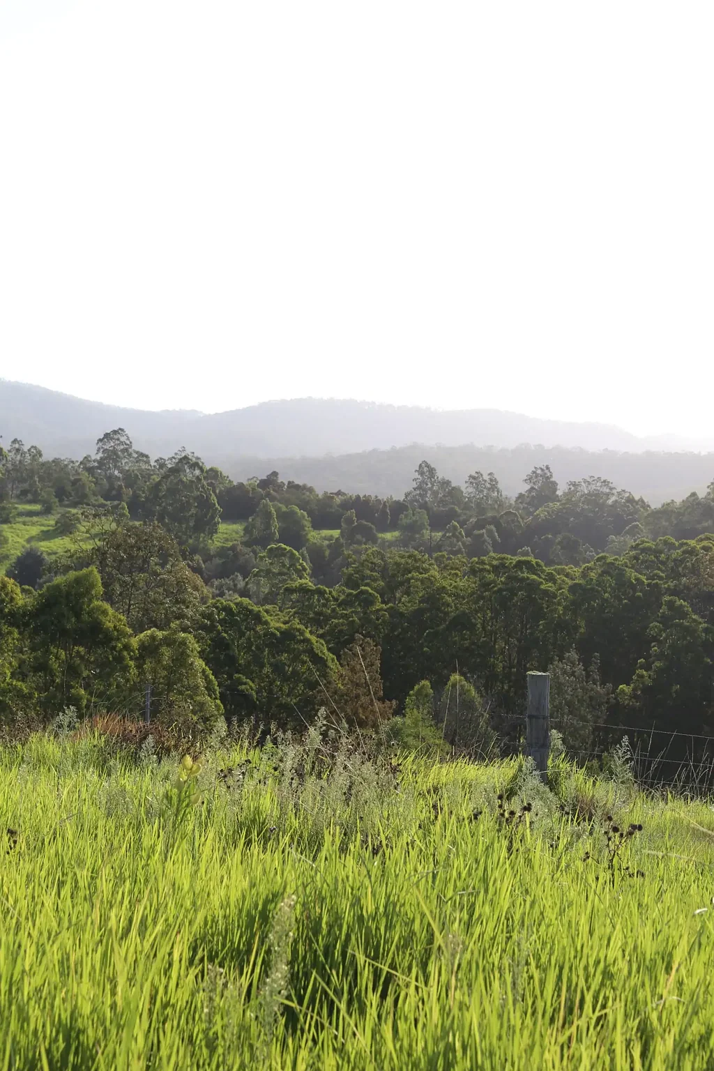 212D Norries Road, Bunyah, NSW 2429