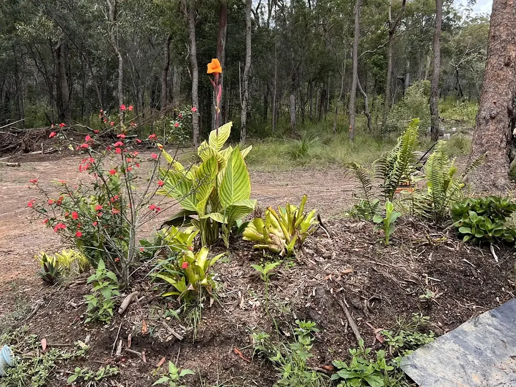 Mount Maria 55 Acres of Peace, Privacy & Endless Potential