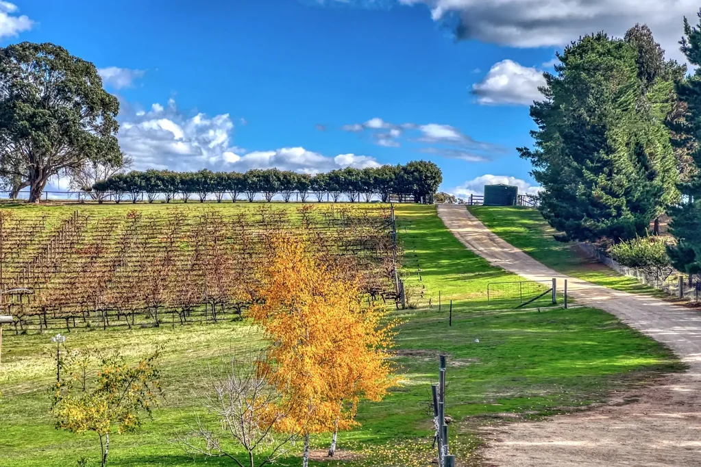 Rylstone Vineyard Living with Business Potential & Breathtaking Views
