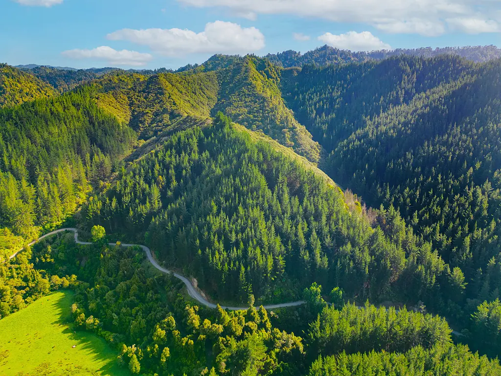 Papaiti Tranquil retreat - 57ha