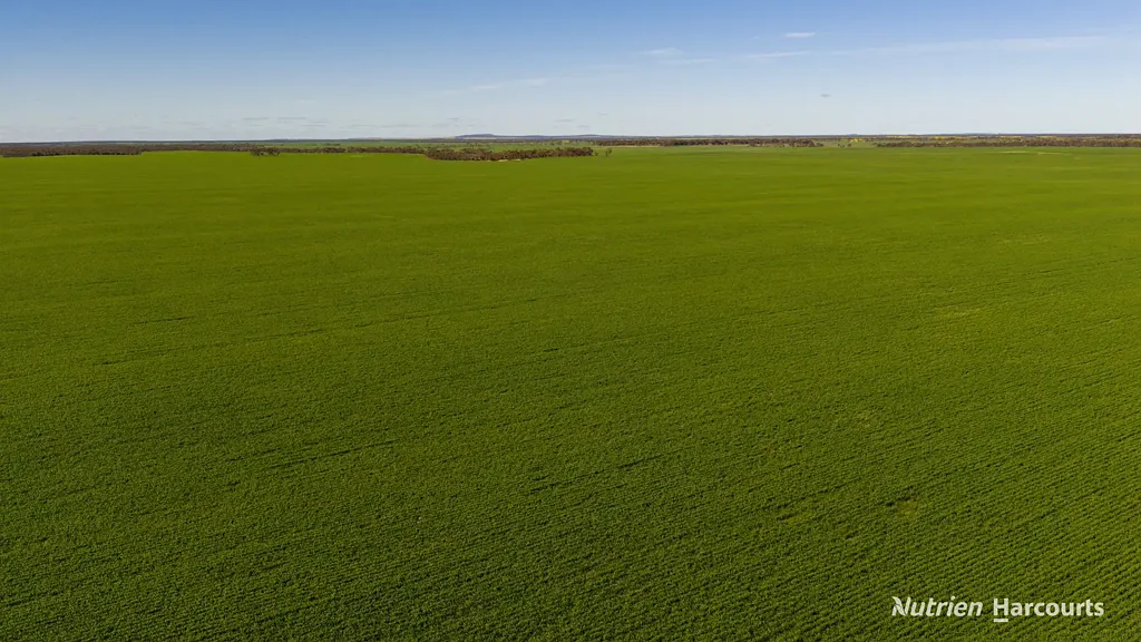 Scaddan "Malara: Rare Scaddan Holding - 2,498 Acres of Opportunity"