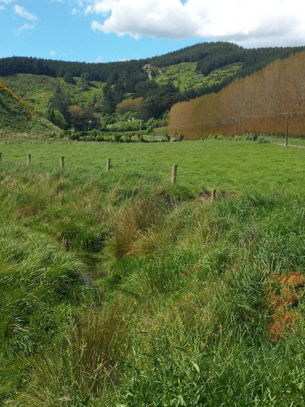 431 Mcqueens Valley Road, Gebbies Valley, Christchurch, 0 Bedrooms, 0 Bathrooms