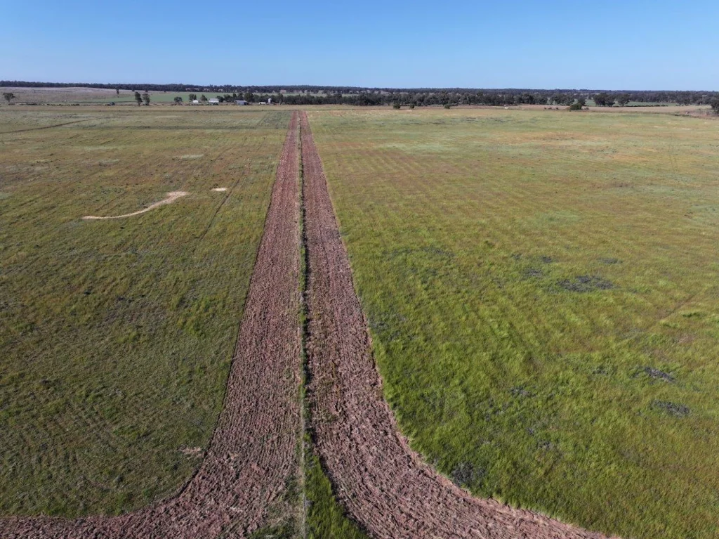West Wyalong Great Parcel Of Land Located On The Outskirts Of Town