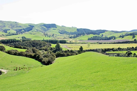 Rural Zone