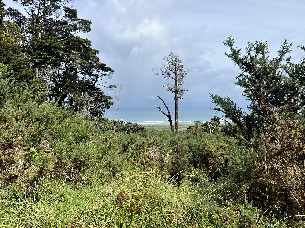 Barrytown  Stunning Barrytown Property with Sea Views and Endless Potential