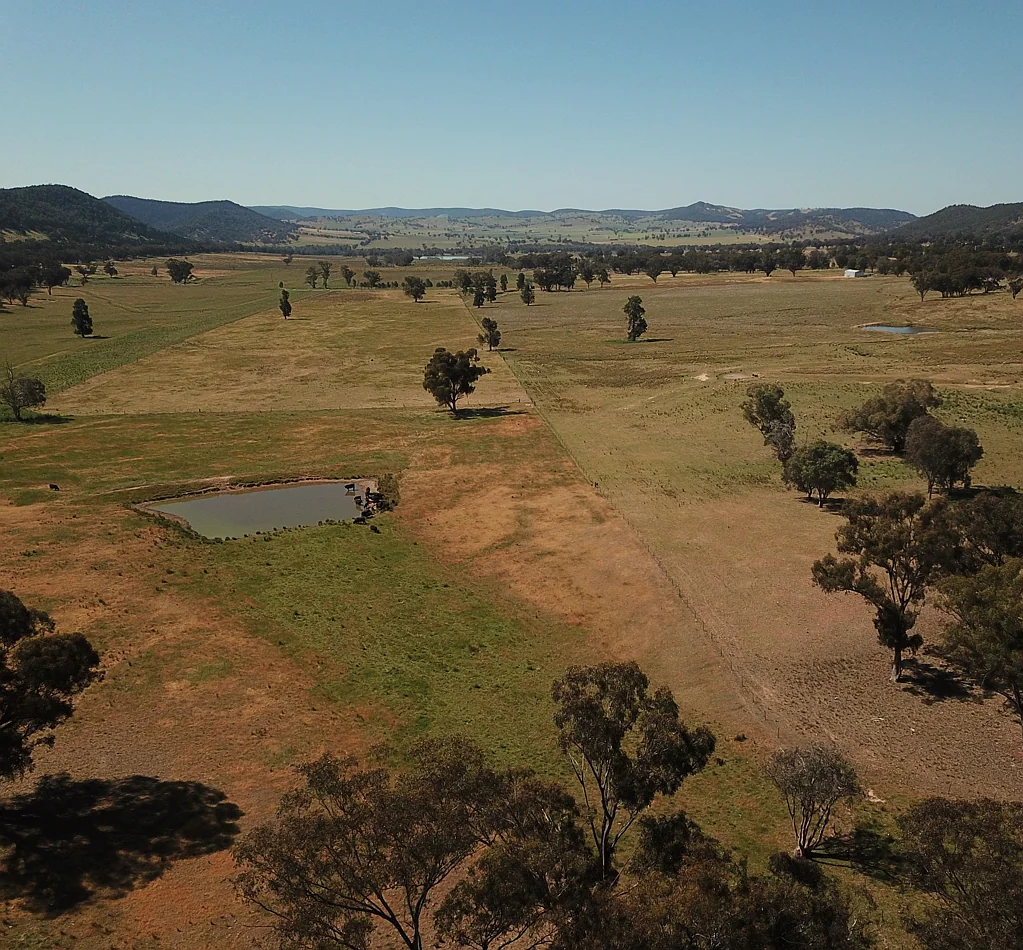 Cudal  Nangar Valley - 1165 acres - Eugowra/Orange