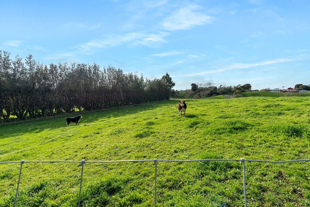Otaki 3 Bedroom Your opportunity to live the good life!