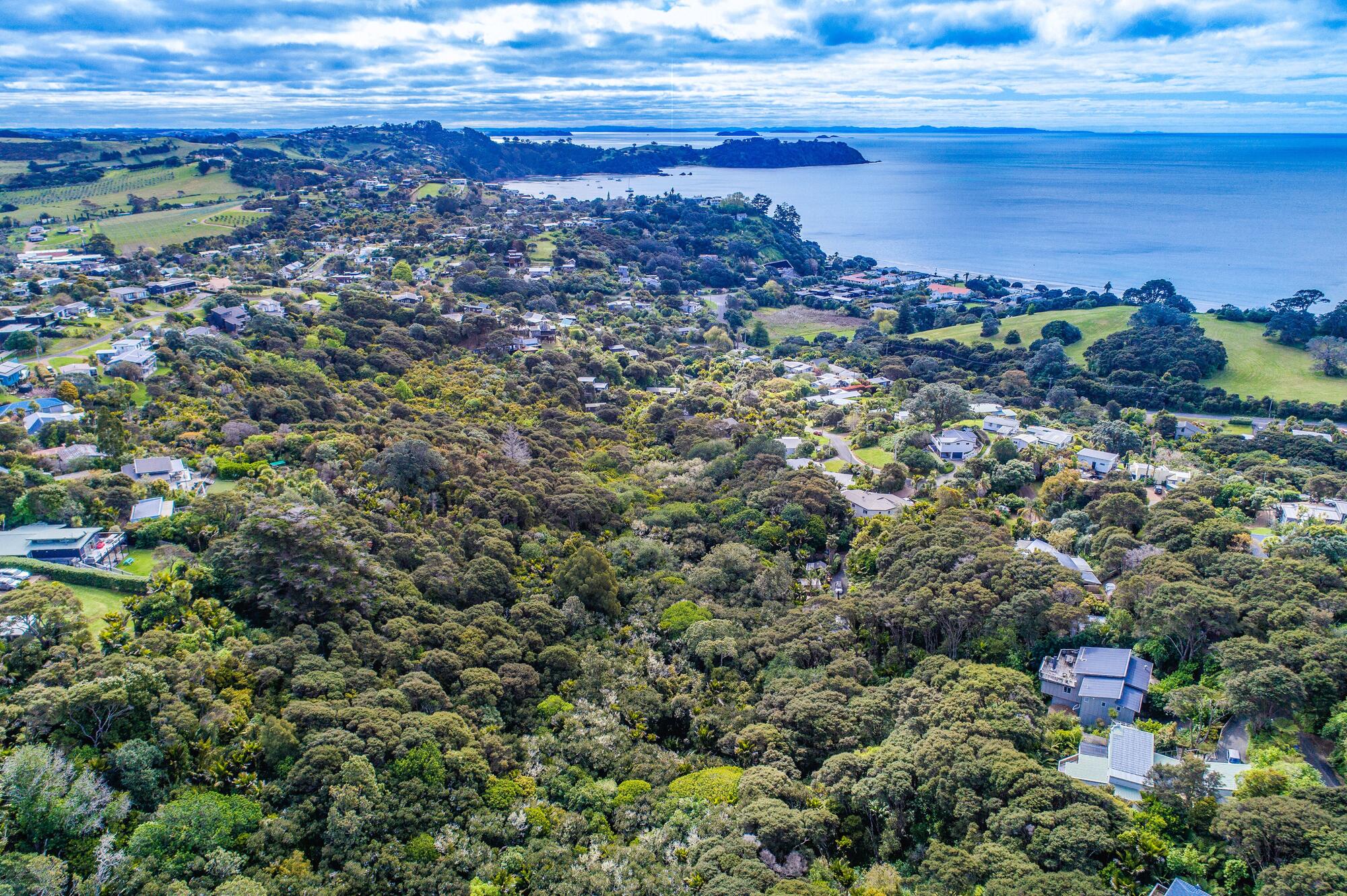 71 Victoria Road South, Onetangi, photo 3