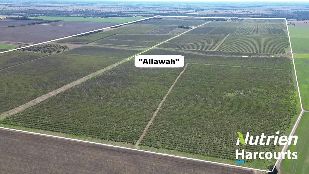 2210 Chinchilla Wondai Road, Canaga, QLD 4413