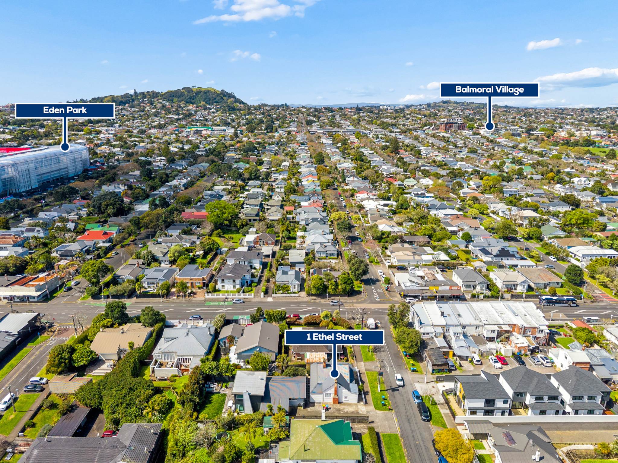 1 Ethel Street, Sandringham, photo 10