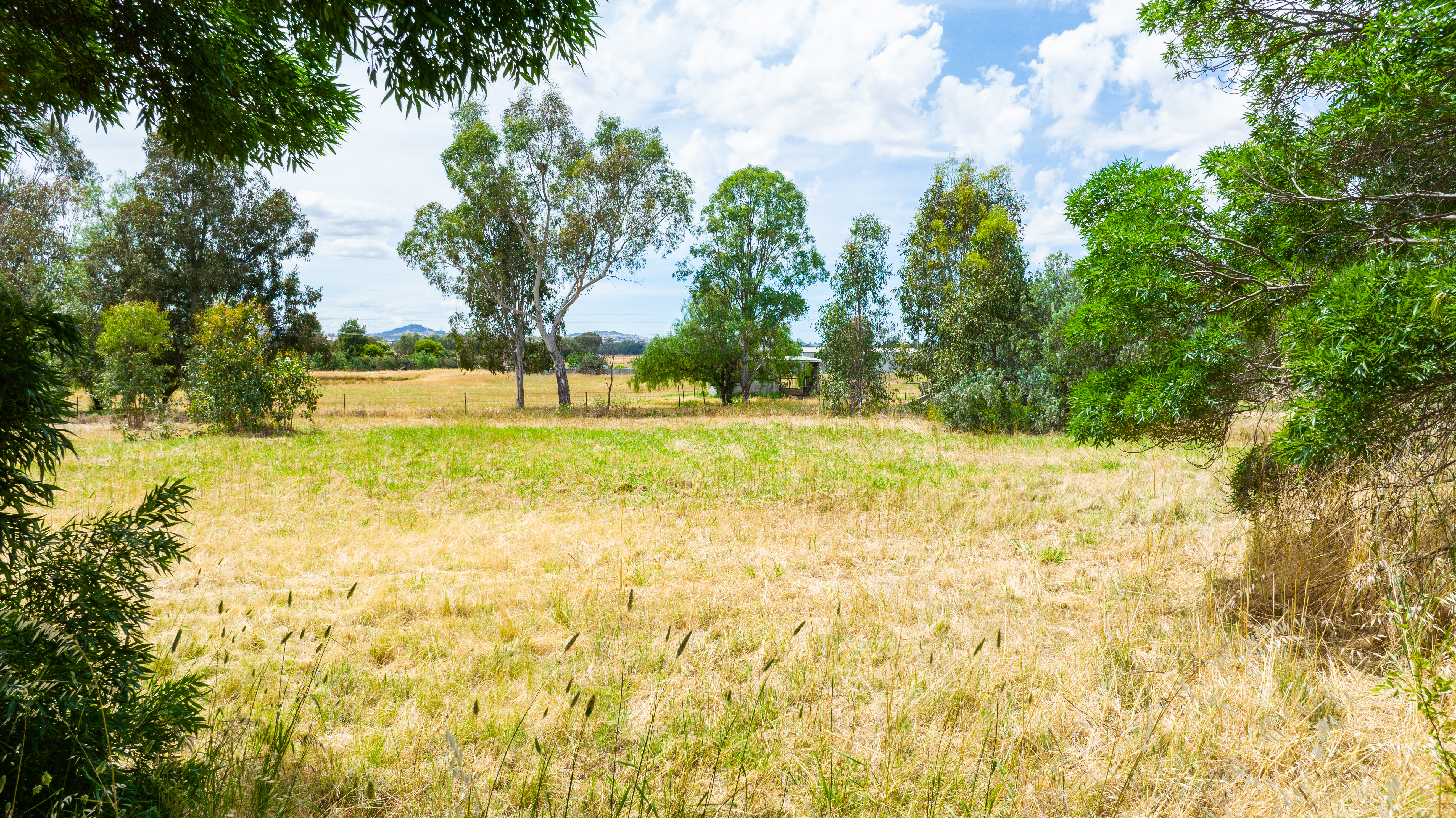 1 THIRD AV, HENTY NSW 2658, 0 રૂમ, 0 બાથરૂમ, Section