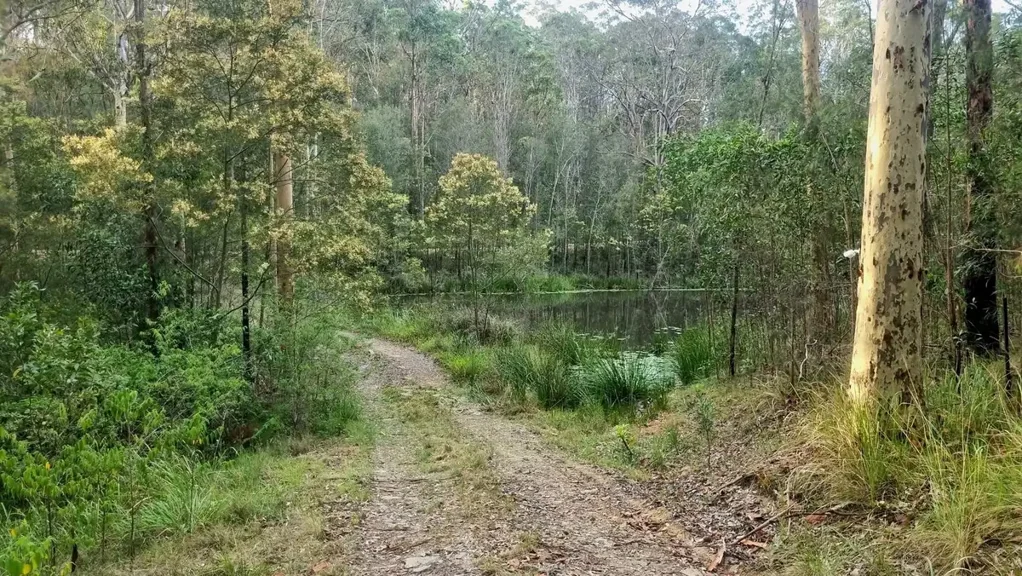 LOT 23 Mud Flat Road, Drake, NSW 2469