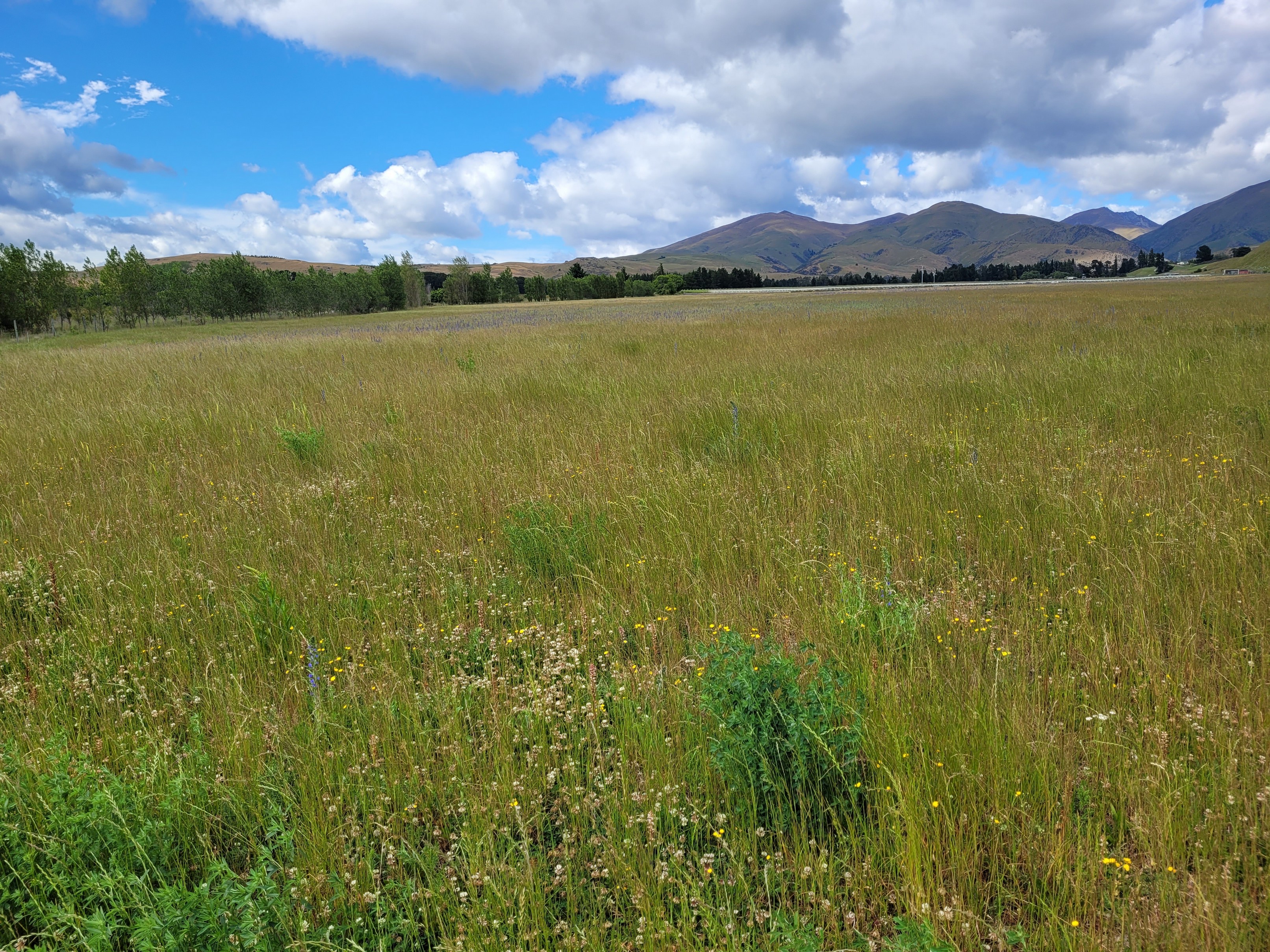 Grants Road, Otiake, Waitaki, 0房, 0浴, Bare Land