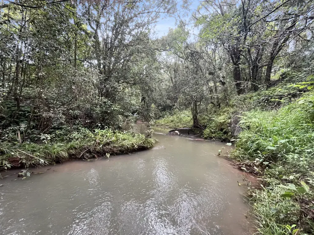 Tarzali  Privacy | Views | Creek