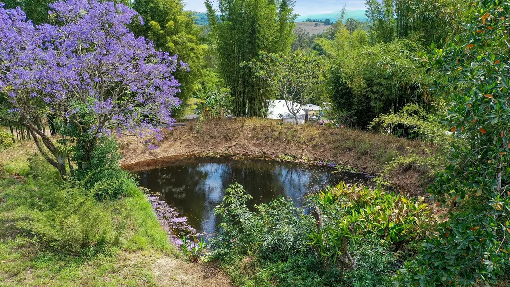 The Channon A Rare Opportunity to Own One of Australia's Most Established Permaculture Allotments