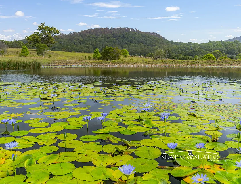 Lot 16, 21 And 27 Old King Creek Road, King Creek, NSW 2446, 0 ਕਮਰੇ, 0 ਬਾਥਰੂਮ, Lifestyle Property