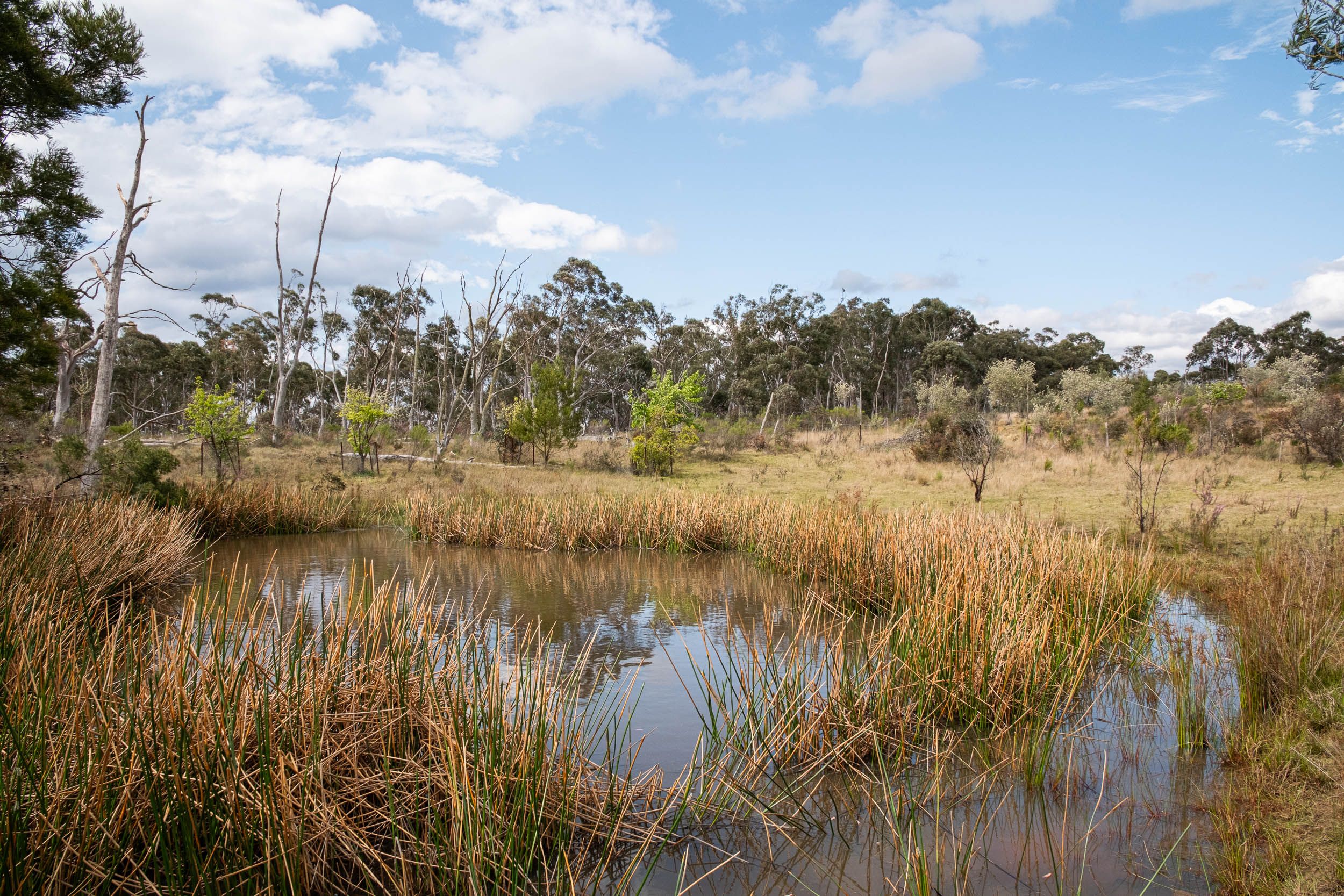 154 NERRIMUNGA CREEK RD, WINDELLAMA NSW 2580, 0房, 0浴, Lifestyle Property