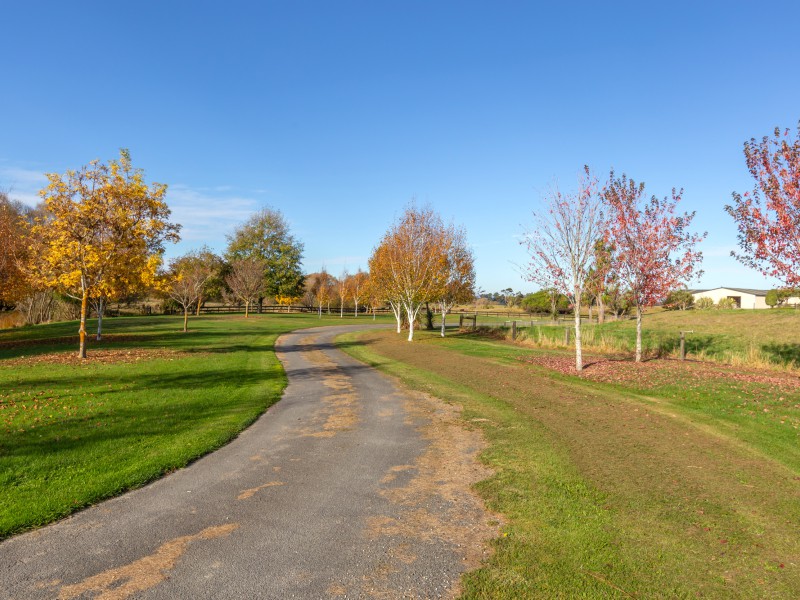 146 Mcleods Road, Sefton, Waimakariri, 5 phòng ngủ, 0 phòng tắm