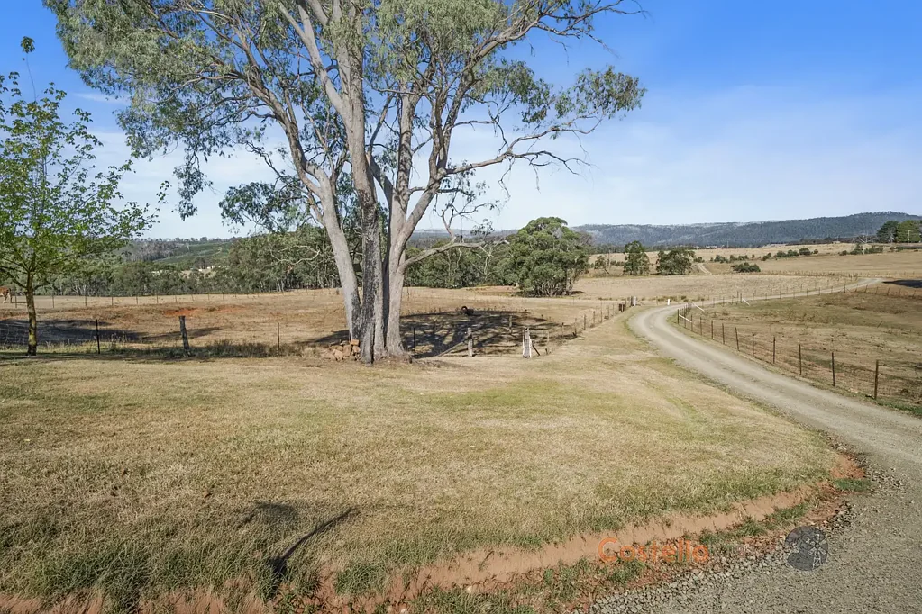 Willigobung  Lifestyle Grazing Opportunity in the High Country