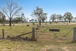 608 Mountain Maid Road, Greymare