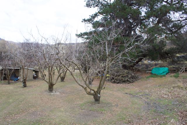 Hall Road, Bannockburn, Otago, 0 Schlafzimmer, 1 Badezimmer