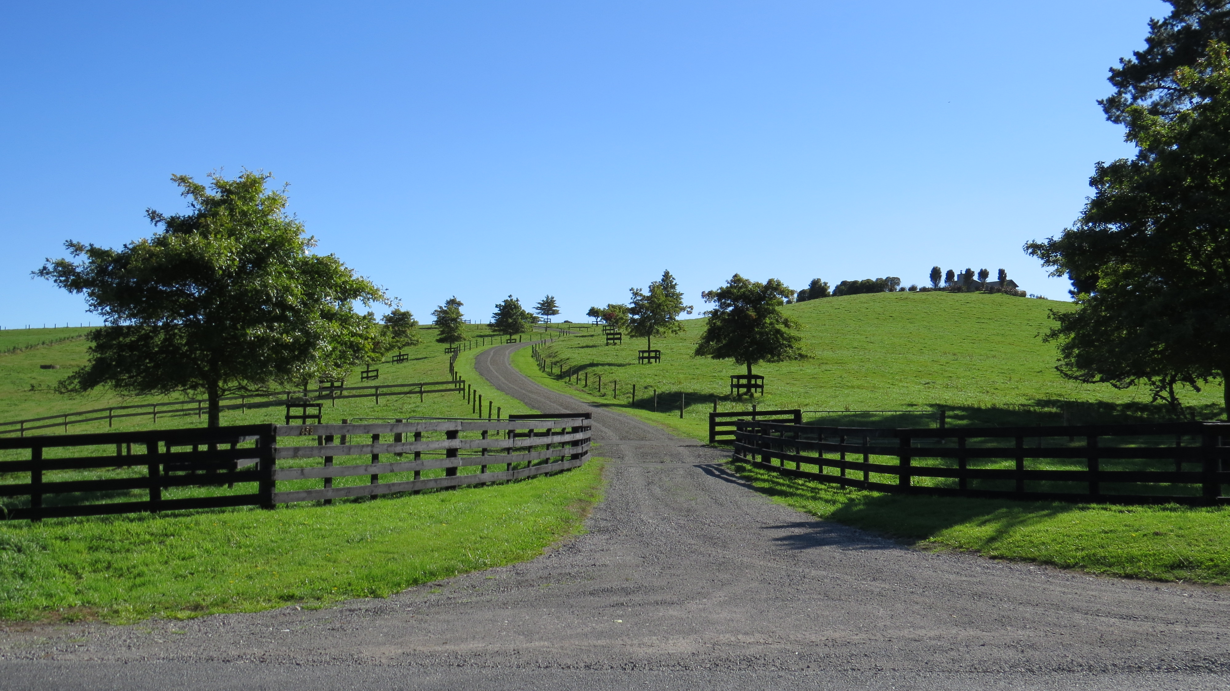 658 Te Kopia Road, Waikite Valley, Rotorua, 4房, 1浴, Grazing