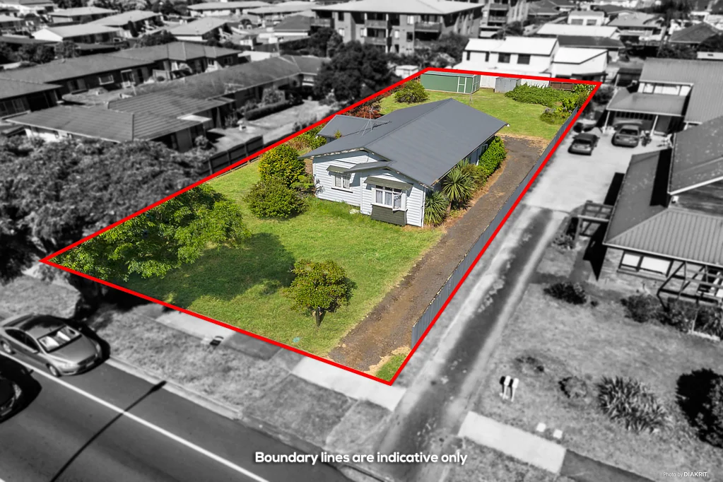 110 Edinburgh Street, Pukekohe, Franklin, Auckland