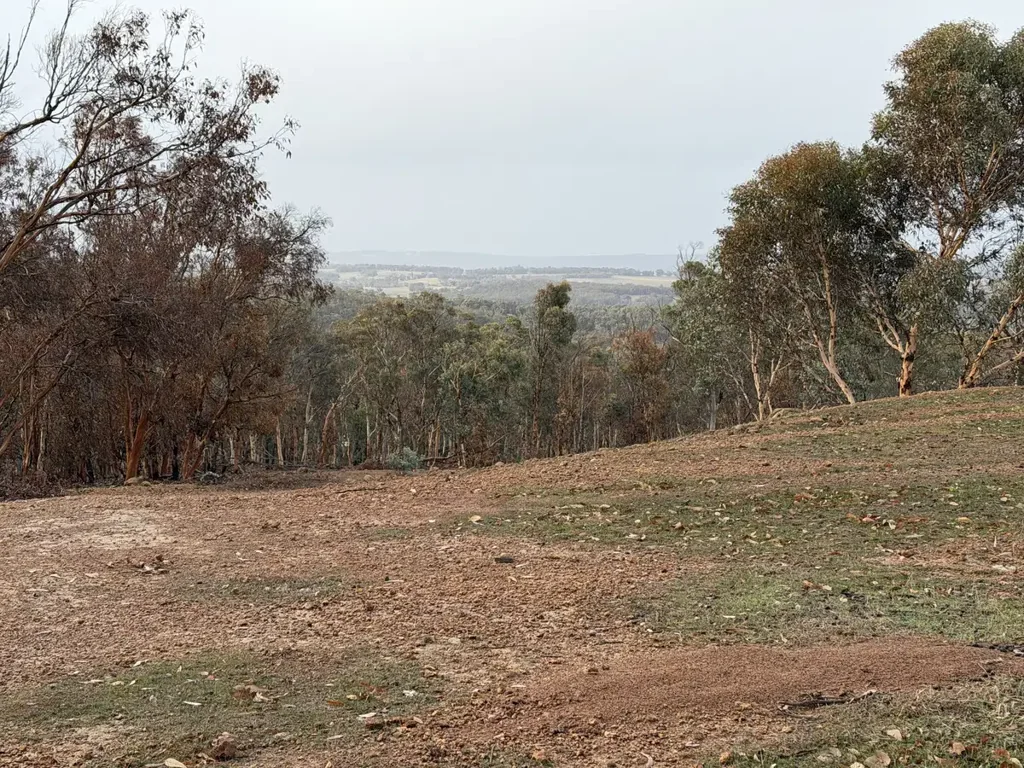 Wandering 16.75 Acres with Panoramic Valley Views.