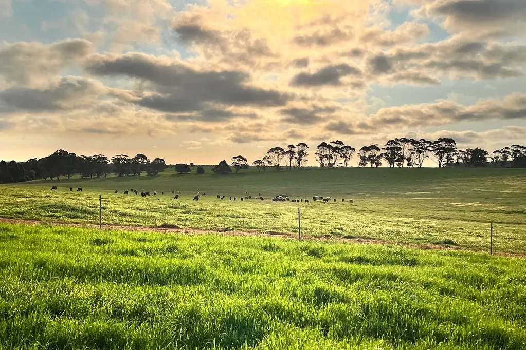Albany Elevated 1-Hectare Lots. Country Living with Great Views