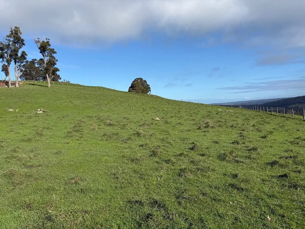 Glen Mervyn LARGE GRAZING PROPERTY