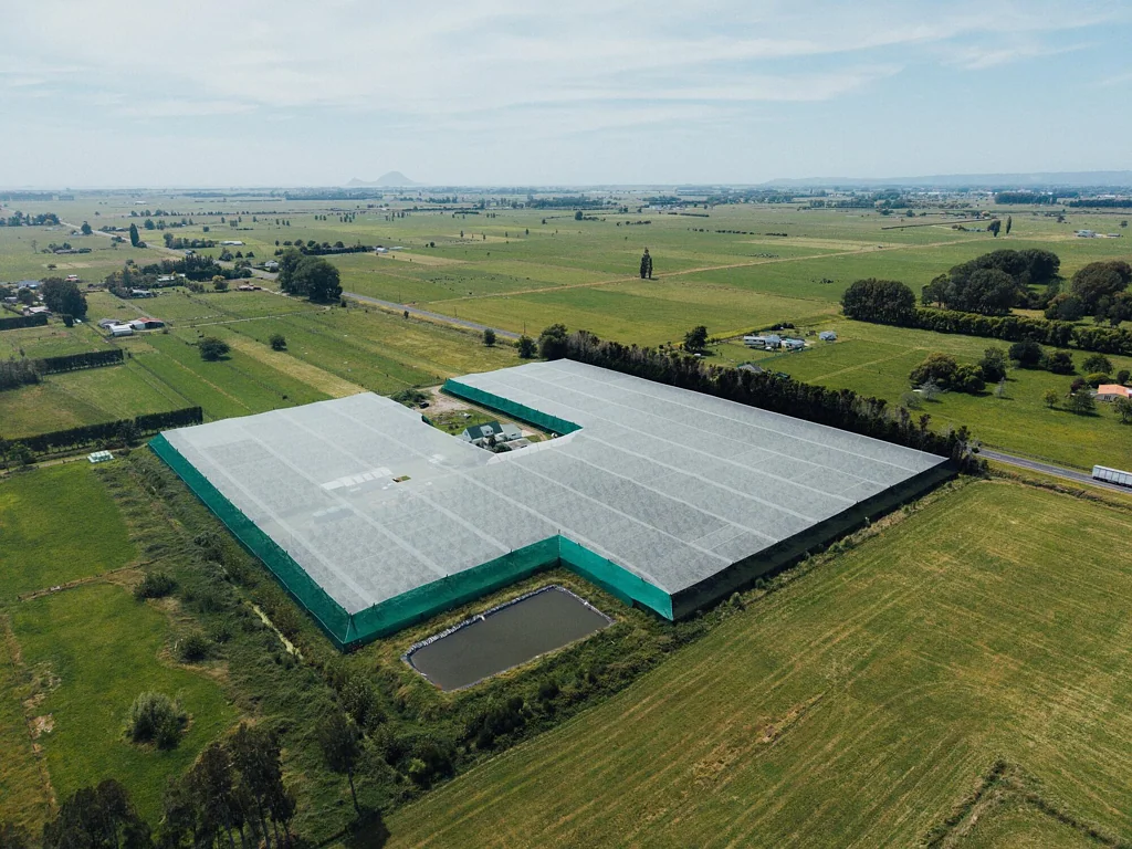 Otakiri  Ruby Red Kiwifruit plus $1500 per wk passive $$$$