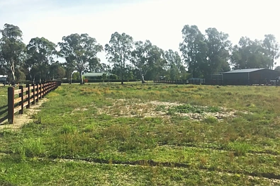50 Main Street, Koondrook, VIC 3580, 0房, 0浴, Section