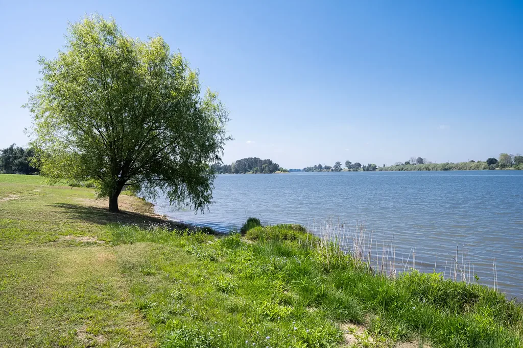 Grafton YOUR FLAGSHIP BUILD STARTS HERE