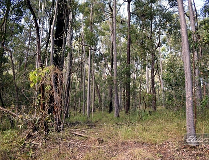 Lot 850 Arborthirtyone Road, Glenwood, Wide Bay, 0房, 0浴, Section