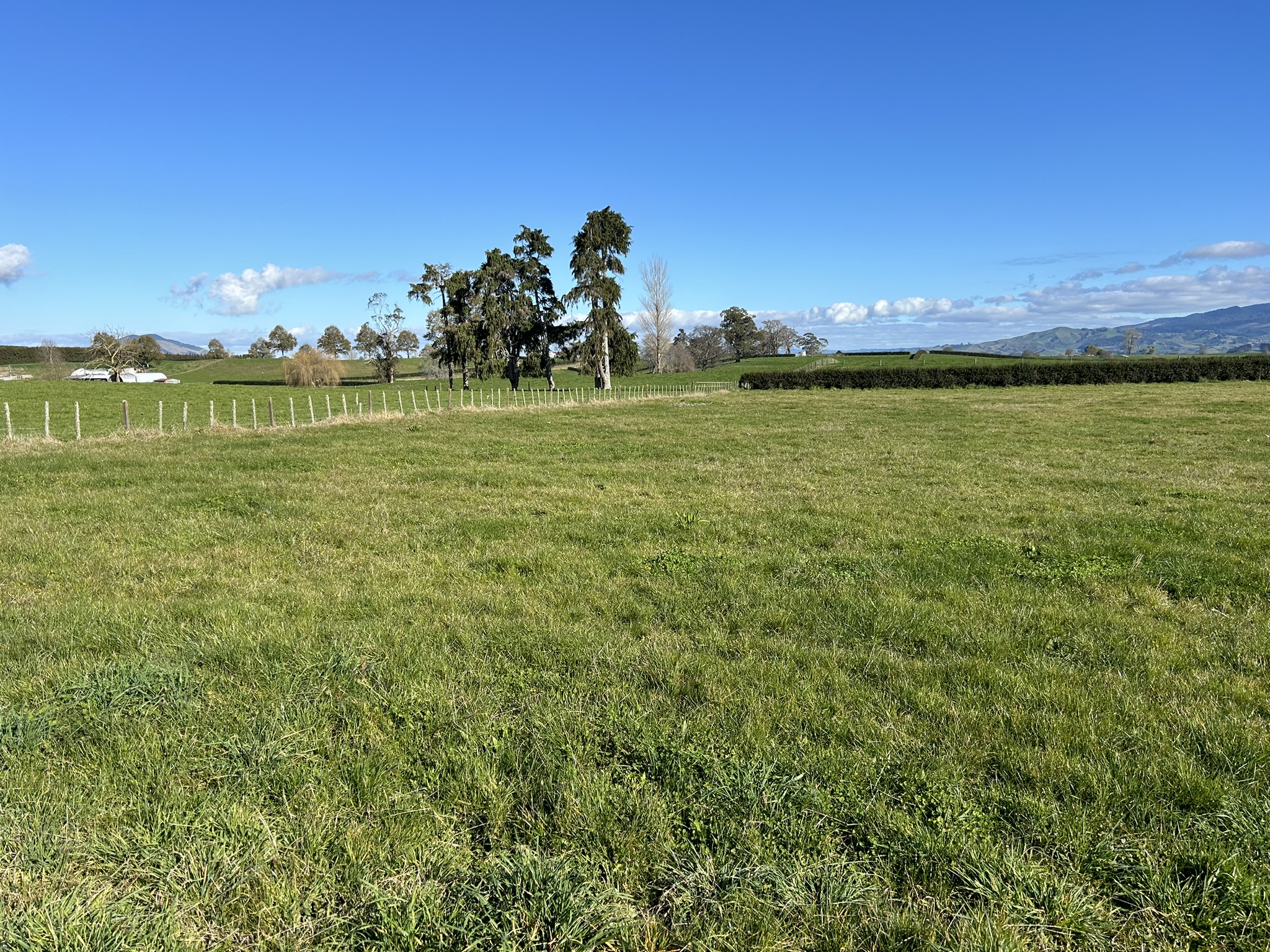 1065 Paterangi Road, Te Awamutu, Waipa, 0 chambres, 0 salles de bain, Lifestyle Section