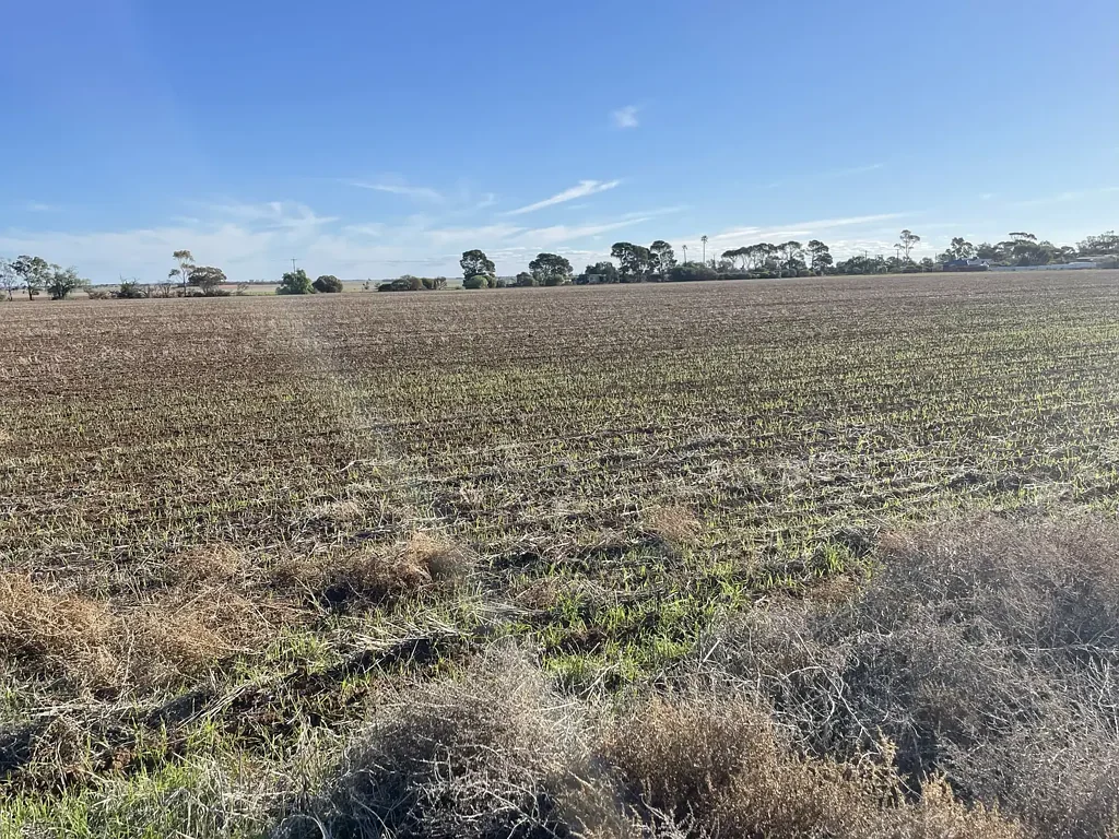 Warnertown OPPORTUNITY KNOCKS