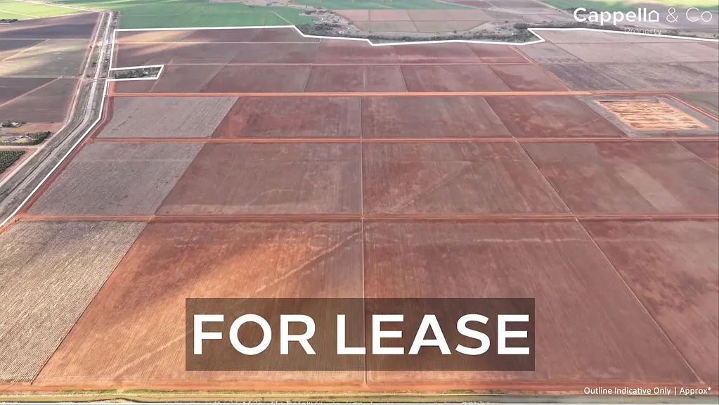 Hanwood  BROADACRE FARM OF SCALE AND MODERN LAYOUT - FOR LEASE