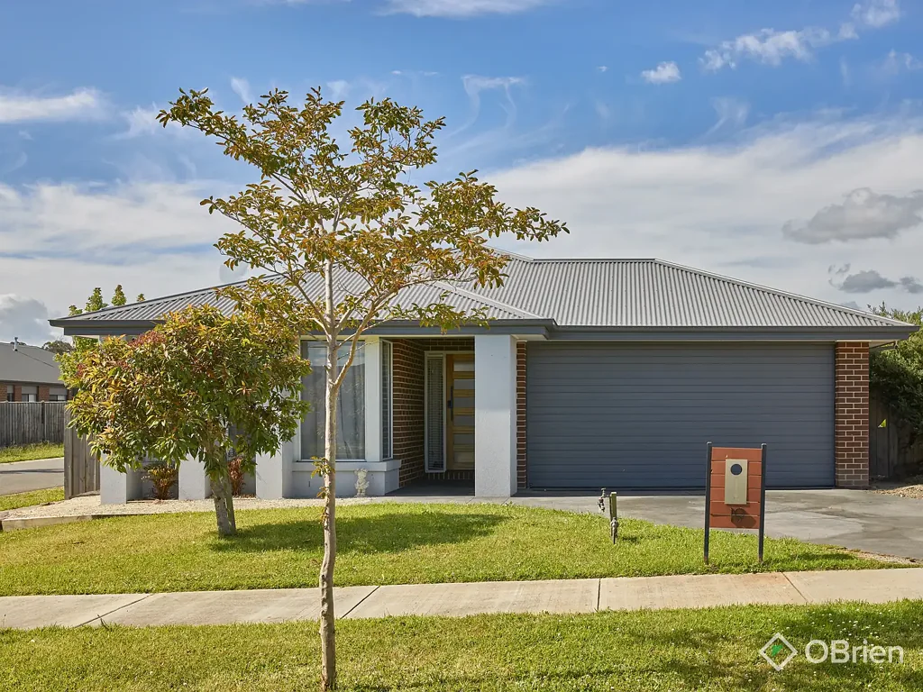 19 King Parrot Boulevard, Drouin, VIC 3818