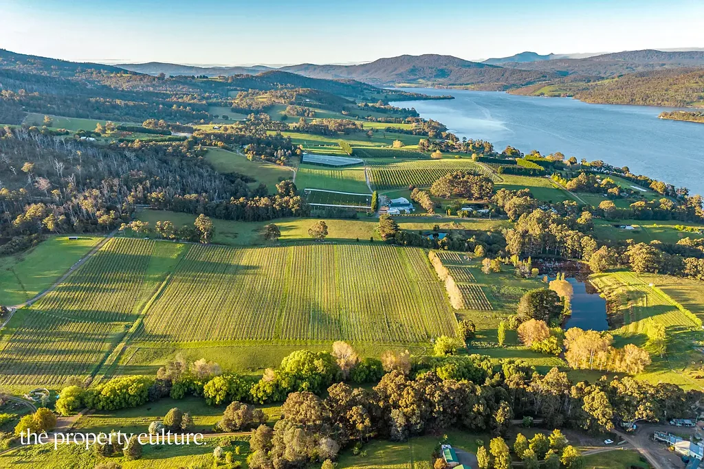 Glaziers Bay  Iconic Huon Valley Vineyard