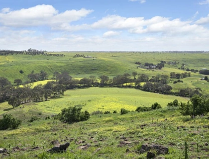 63 Old Mill Road, Bannockburn, Geelong, 0 રૂમ, 0 બાથરૂમ, Lifestyle Property