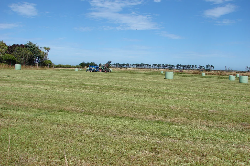 Wyndham Surrounds  Dairy support/bull beef support