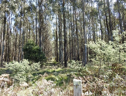 LOT 2140066/2140066 Hop Valley Road, Blackwood Creek, Launceston and North East, 0 રૂમ, 0 બાથરૂમ, Lifestyle Property