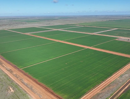 "Waringah" Mabins Well Road, Conargo, Murray, 0房, 0浴, Lifestyle Property