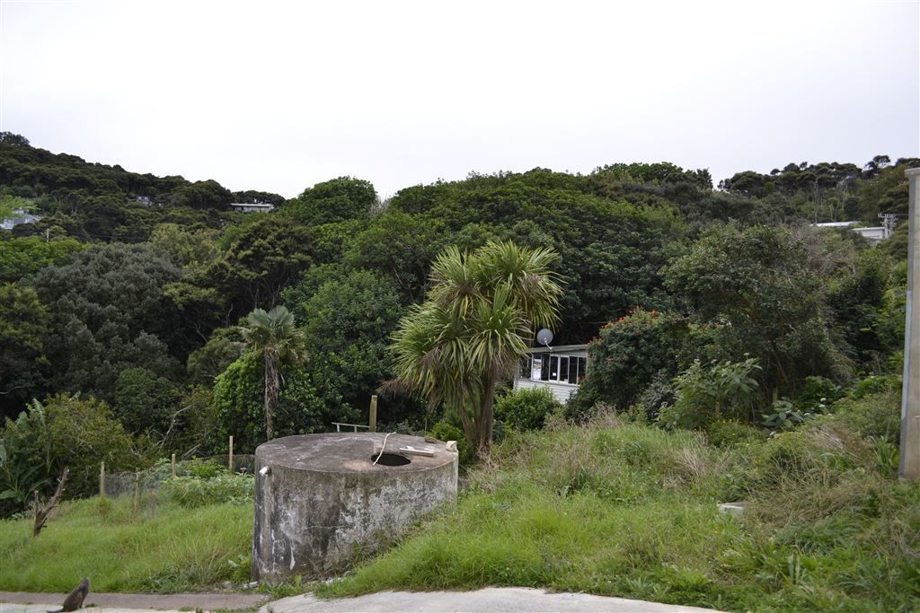 Hauraki Gulf Islands